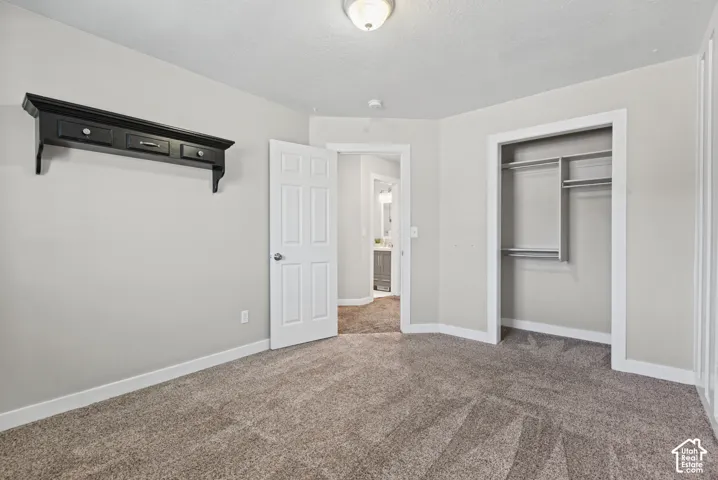 Light gray wall paint, textured carpeting, white trim, and a built-in closet with shelving