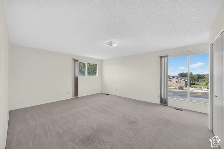 Expansive room with neutral carpeting, white walls, two windows, and a ceiling-mounted light fixture