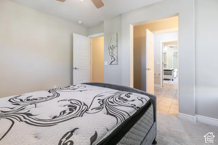 Neutral tone wall paint, light gray carpeting, and white interior doors