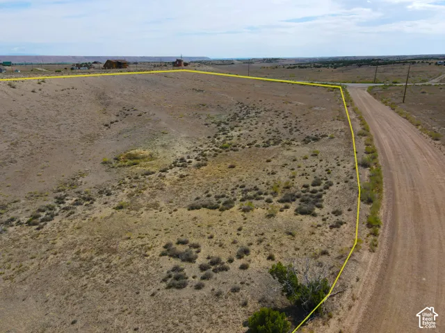 Expansive undeveloped lot with natural vegetation