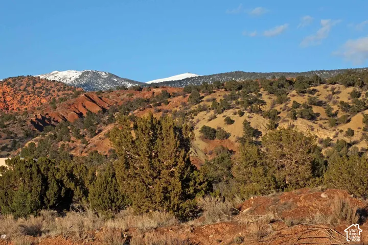Snow-capped mountain peaks, rugged terrain, scattered evergreen trees, and red rock formations