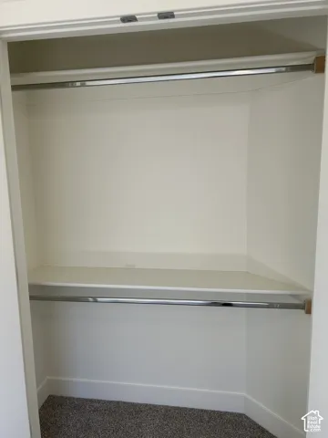 Built-in closet with carpet flooring, white walls, and chrome hanging rods