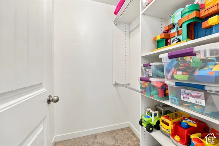 Built-in closet shelving system with hanging rod and carpeting