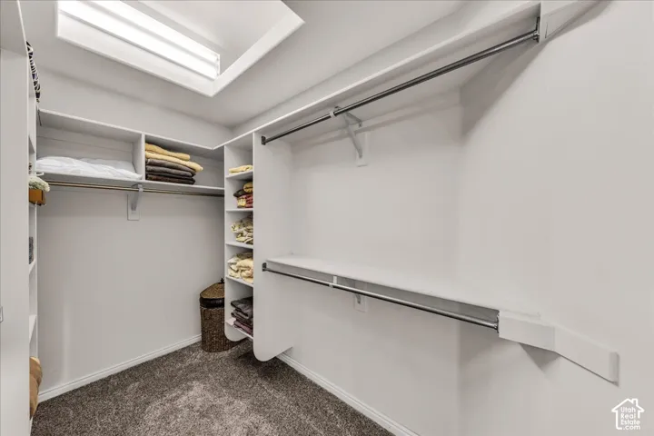 Integrated skylight, overhead lighting, built-in shelving, hanging rods, and carpet flooring