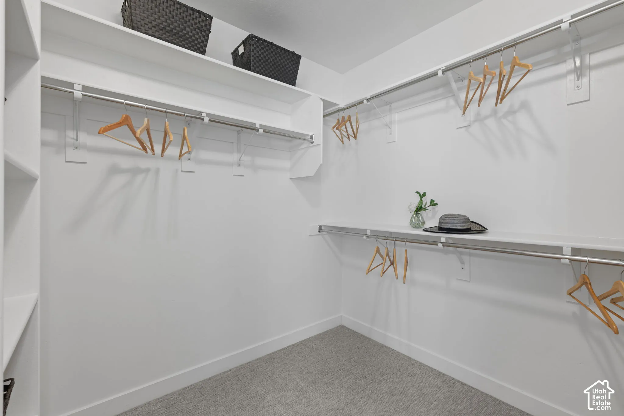 Walk-in closet featuring built-in shelving, chrome hanging rods, and carpet flooring