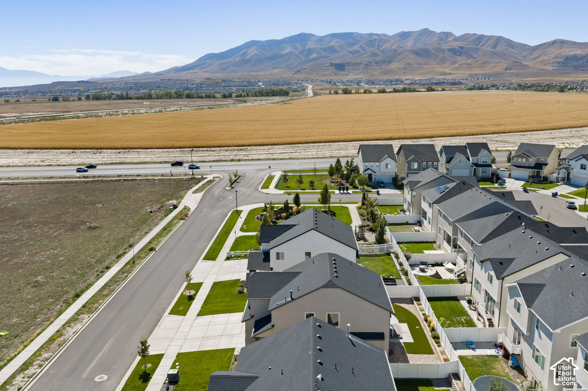 Established residential street with sidewalks and green landscaping
