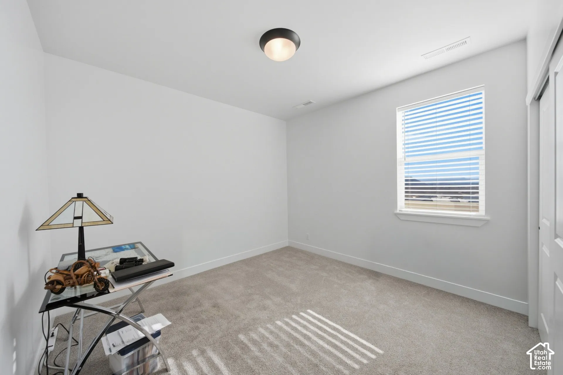 Plush carpet flooring, a single window with blinds, and an overhead flush-mount light fixture