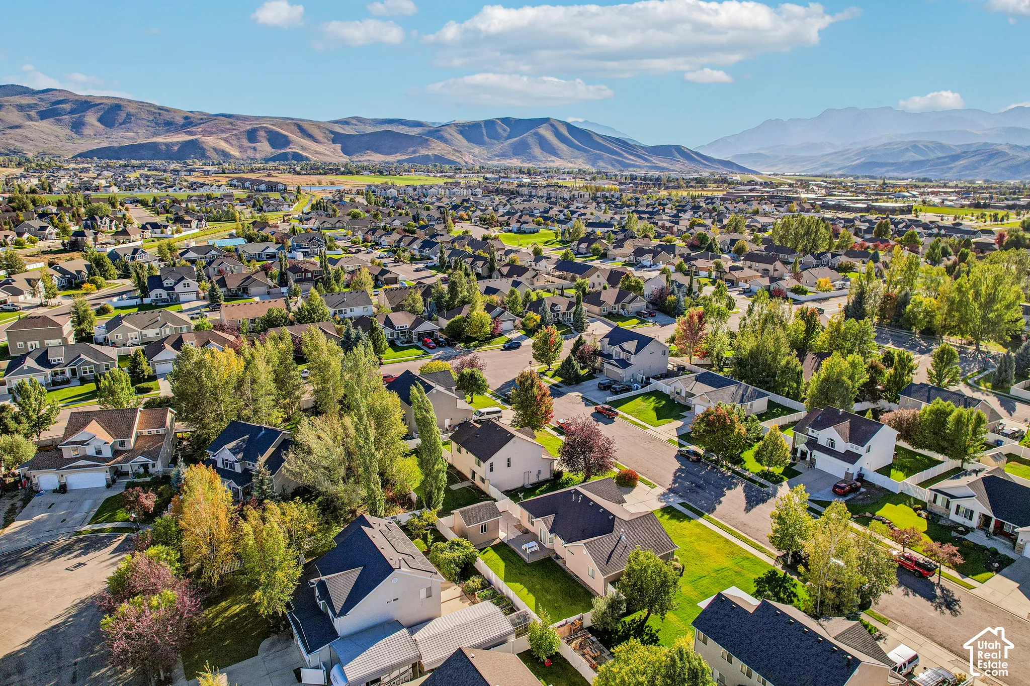 Residential neighborhood with mountain scenery, mature trees, and varying architectural styles