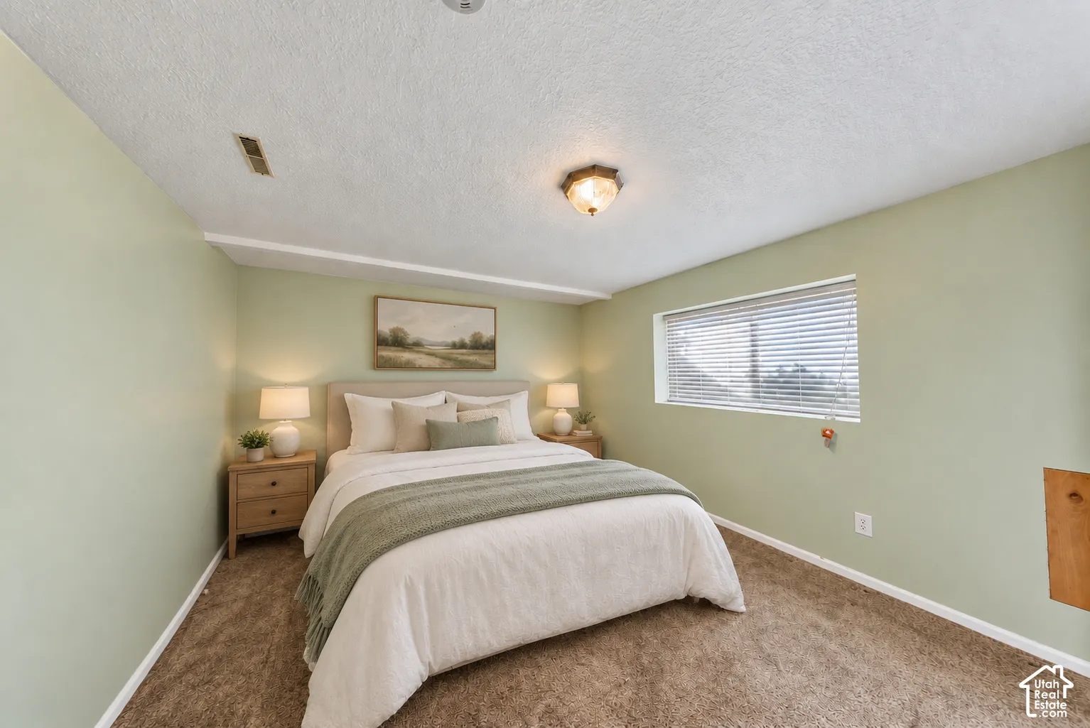 Carpeted flooring, recessed window with blinds, ceiling-mounted light fixture, and light green wall finish