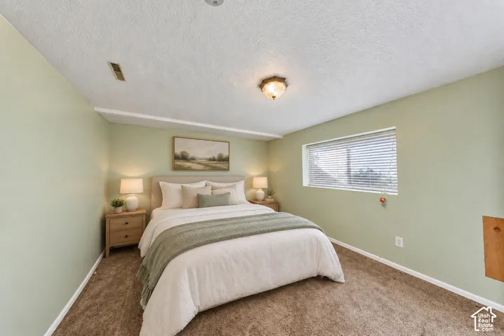 Carpeted flooring, recessed window with blinds, ceiling-mounted light fixture, and light green wall finish