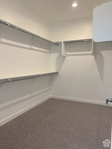 Primary walk-in closet featuring built-in shelving, chrome hanging rods, recessed ceiling lighting, and carpet flooring