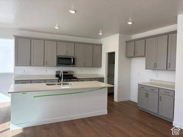 Kitchen featuring gray cabinetry, stainless steel appliances, a center island with sink and dishwasher, light-toned countertops, and wood-finish flooring.  Walk in pantry