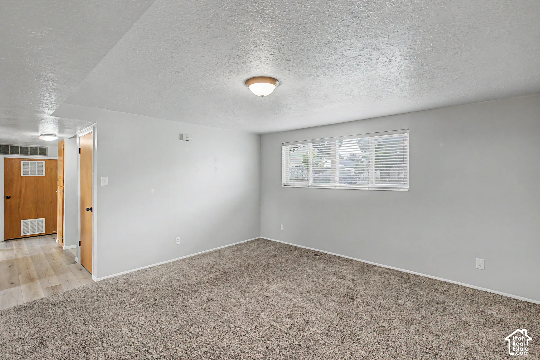 Neutral gray wall paint complementing textured carpet flooring