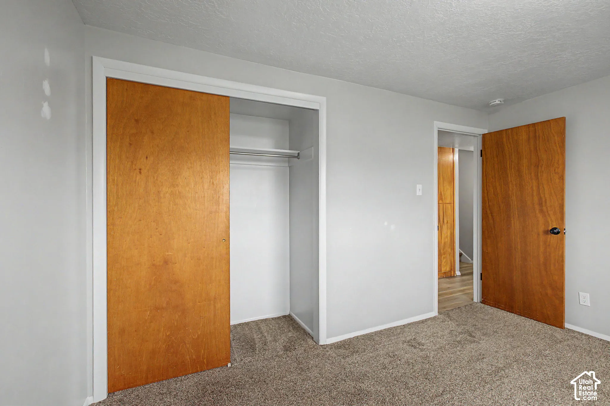 Carpet flooring, light gray wall finish, wood-finish interior doors, and a built-in closet with sliding doors