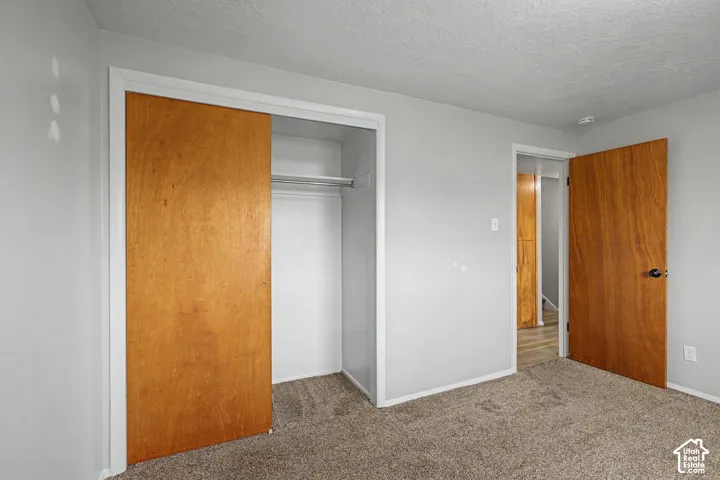 Carpet flooring, light gray wall finish, wood-finish interior doors, and a built-in closet with sliding doors