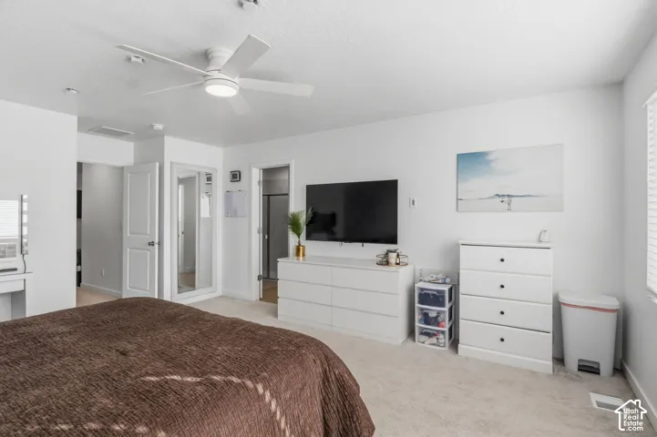 Carpeted flooring paired with neutral-toned walls