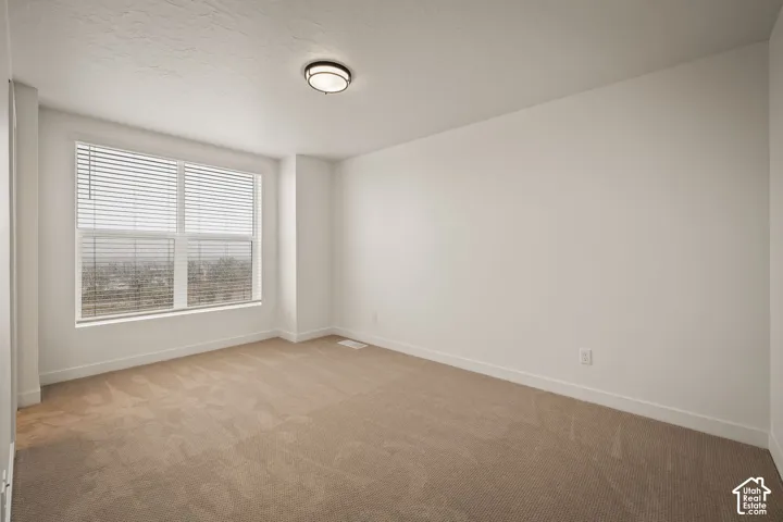 Neutral wall color and plush carpeting create a versatile interior