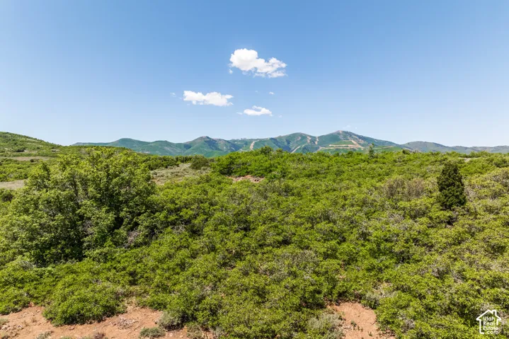 1202 E Headwaters Cove Loop, Heber City, Utah 84032
