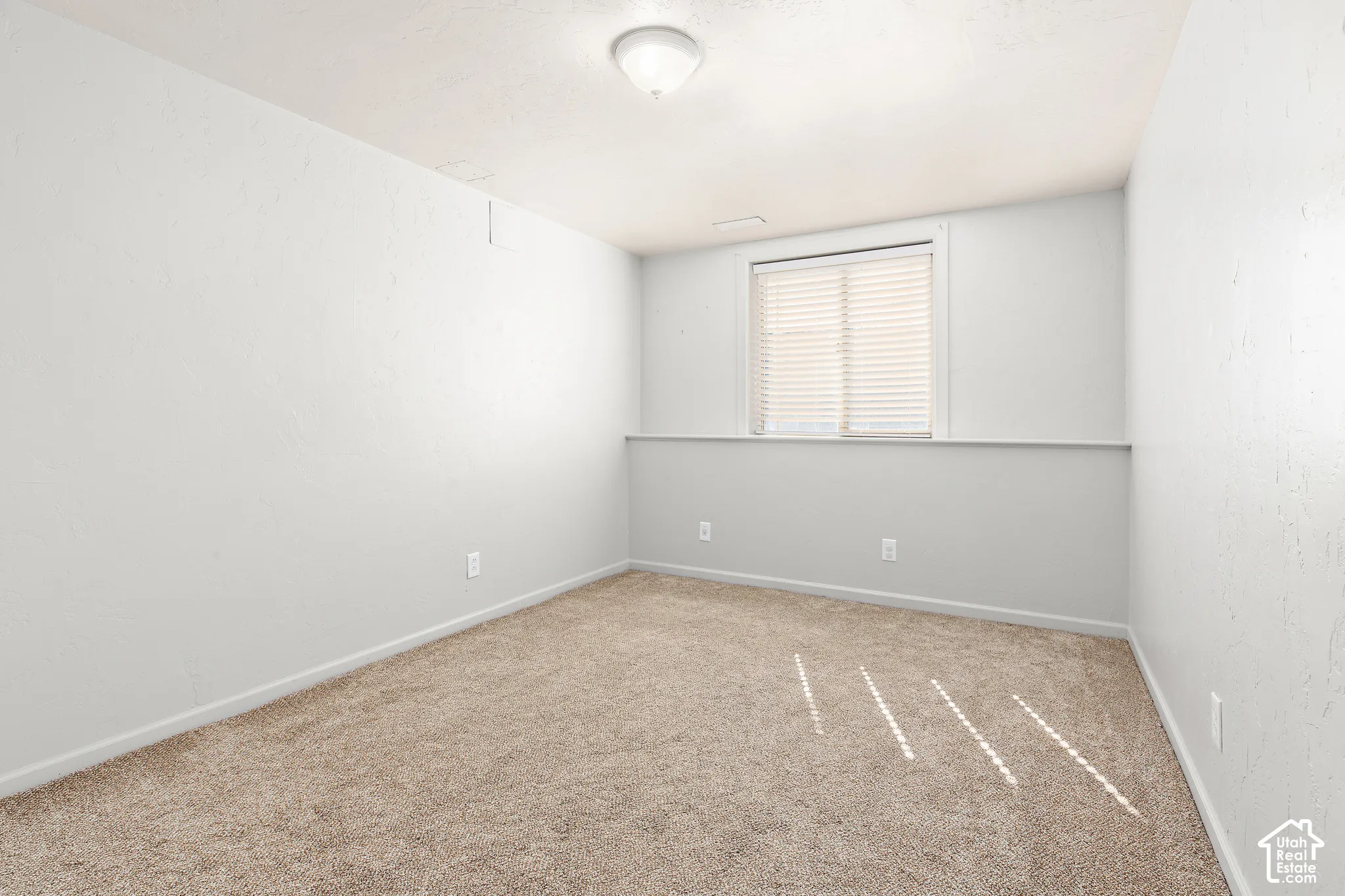 Neutral carpet flooring, white walls, and a single window with blinds