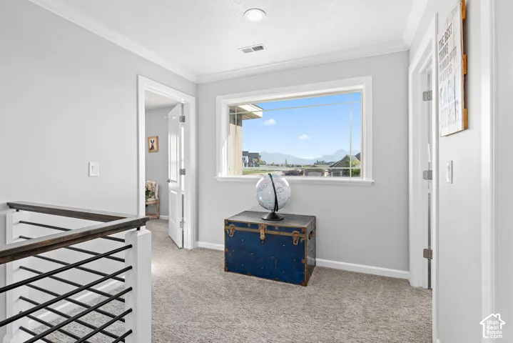 Carpeted landing with a window, crown molding, and a staircase featuring horizontal metal balusters