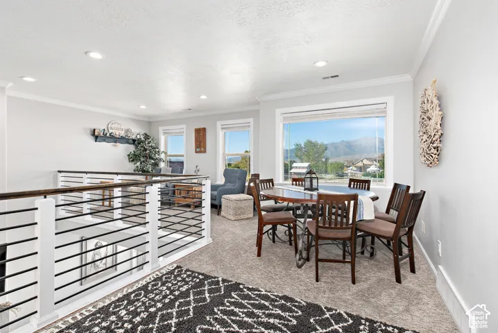 Carpeted upper level with recessed lighting, crown molding, and a white and black horizontal cable railing