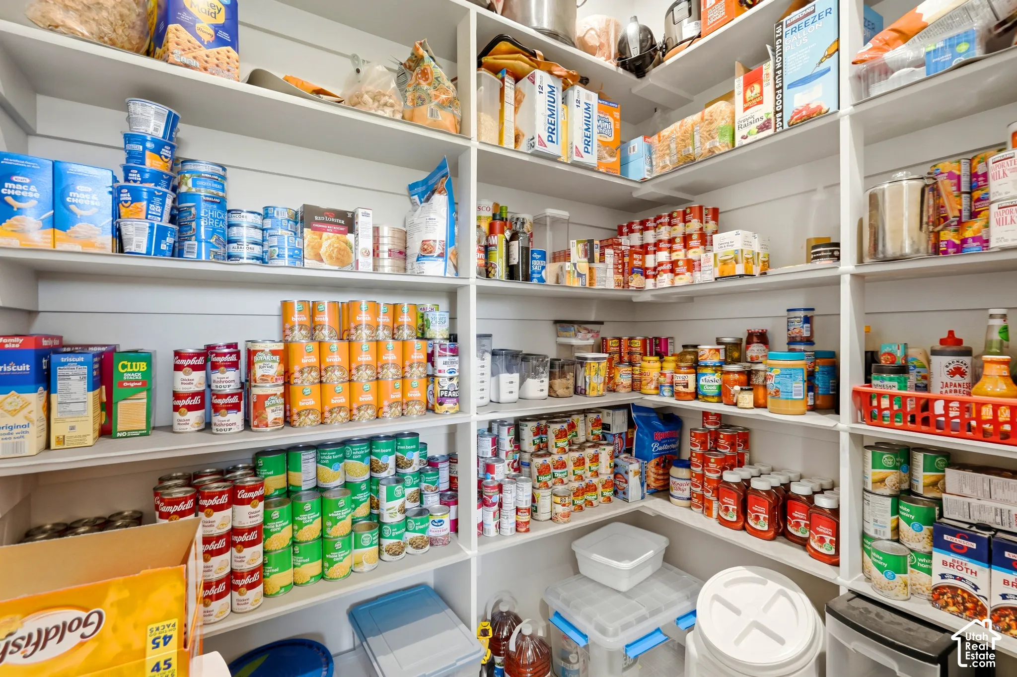 Walk-in pantry featuring extensive built-in shelving