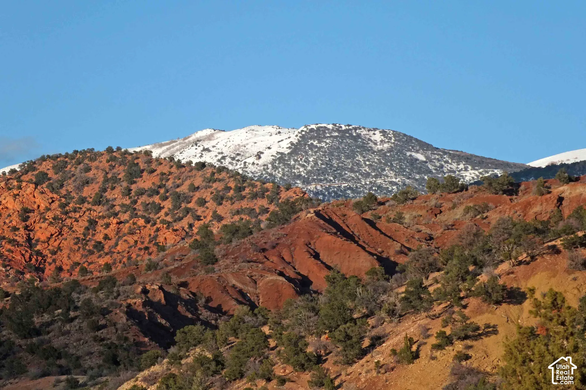 Mountainous terrain featuring red rock formations and evergreen vegetation