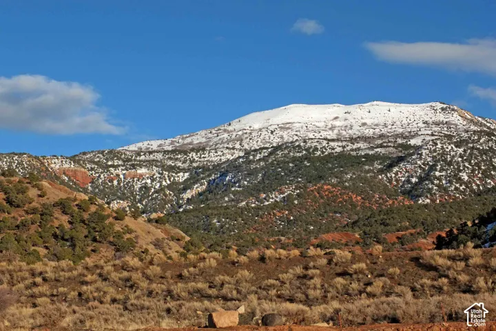 Snow-capped mountain with varied terrain, including evergreen tree coverage and exposed red rock formations