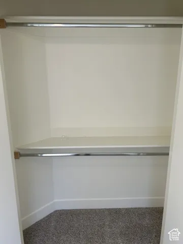 Built-in closet shelving and chrome hanging rod over carpeting