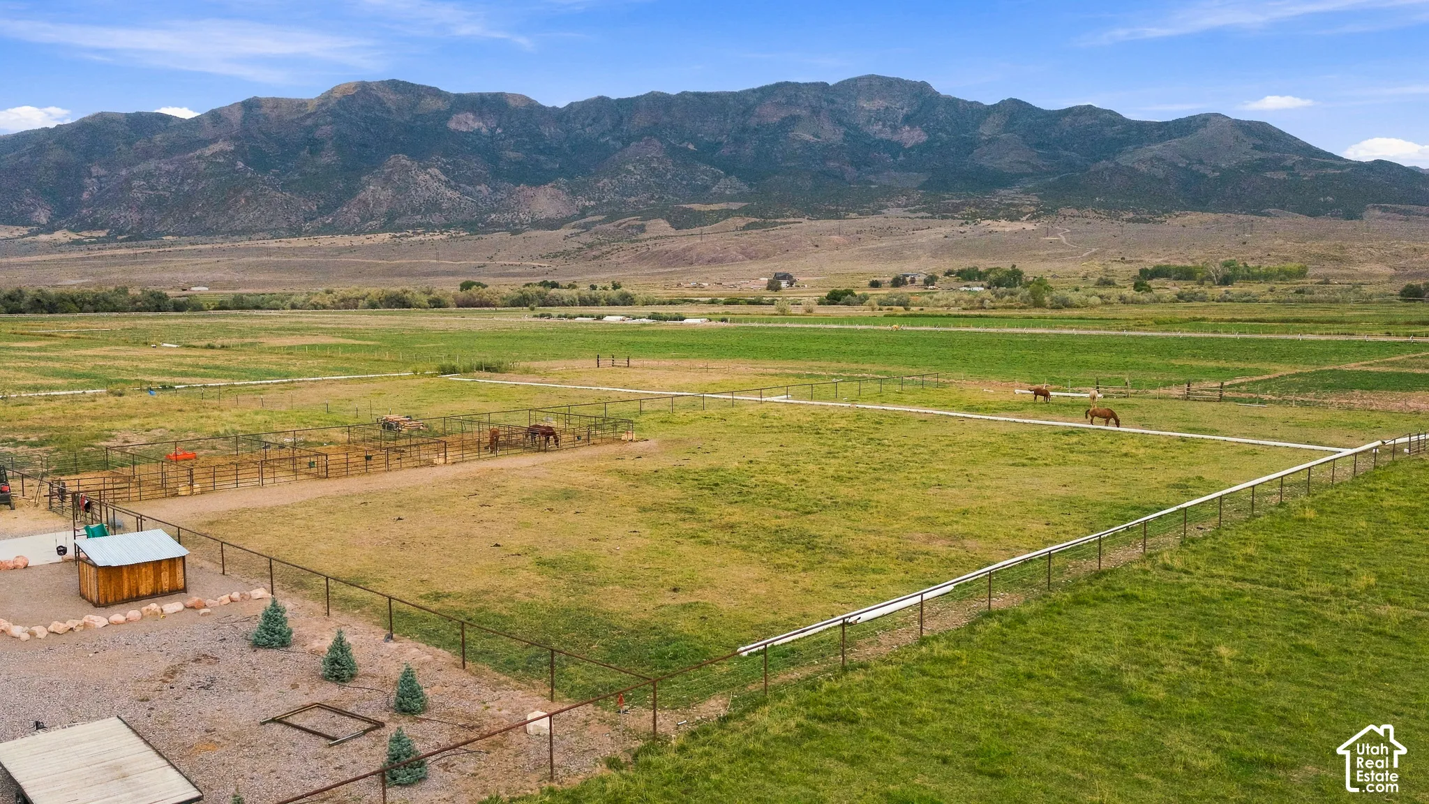 Expansive pastures with fencing, includes a wood-sided outbuilding with a metal roof