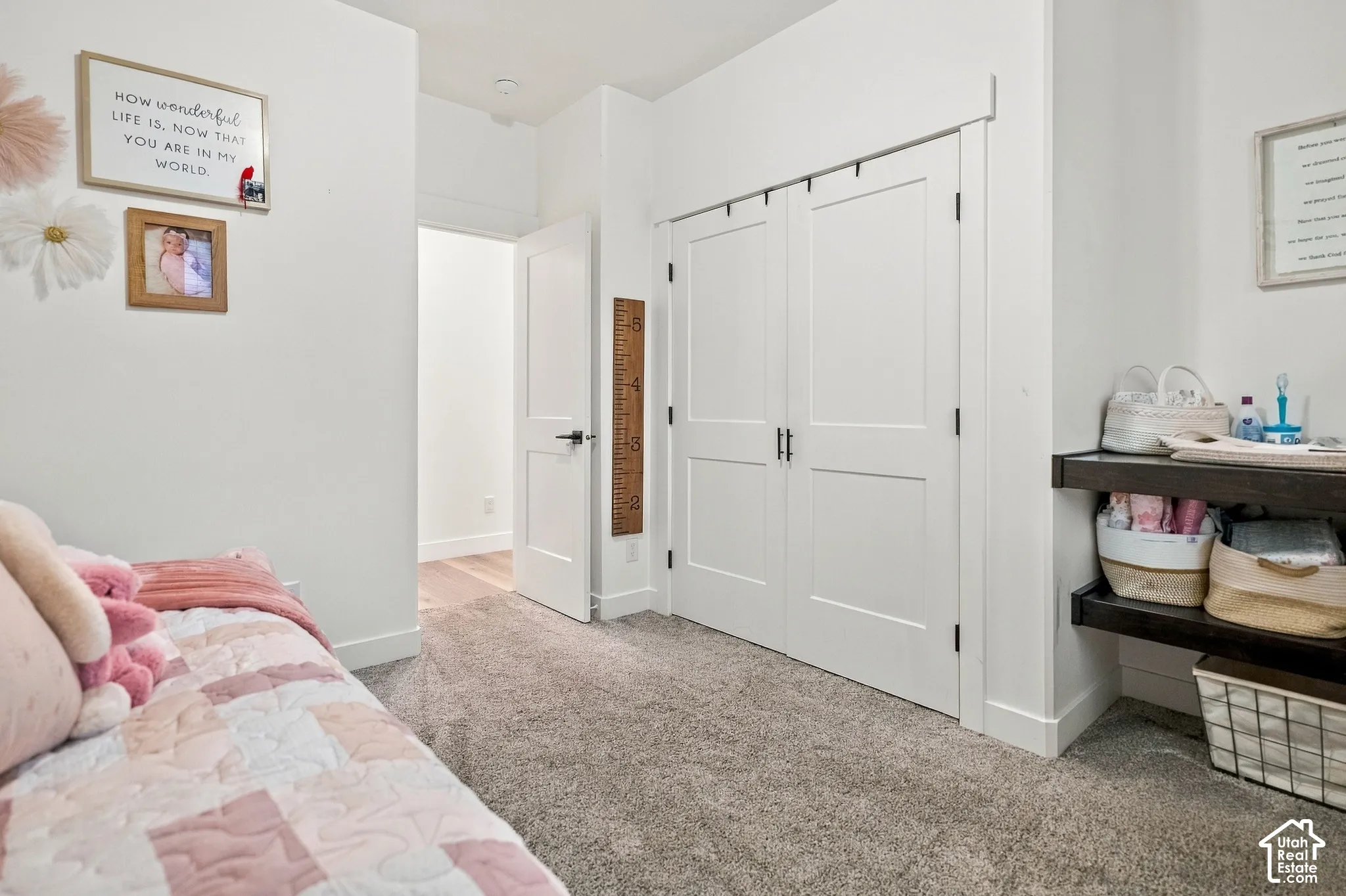 Wall-to-wall carpeting, two-panel interior doors, built-in shelving, and contemporary light fixtures