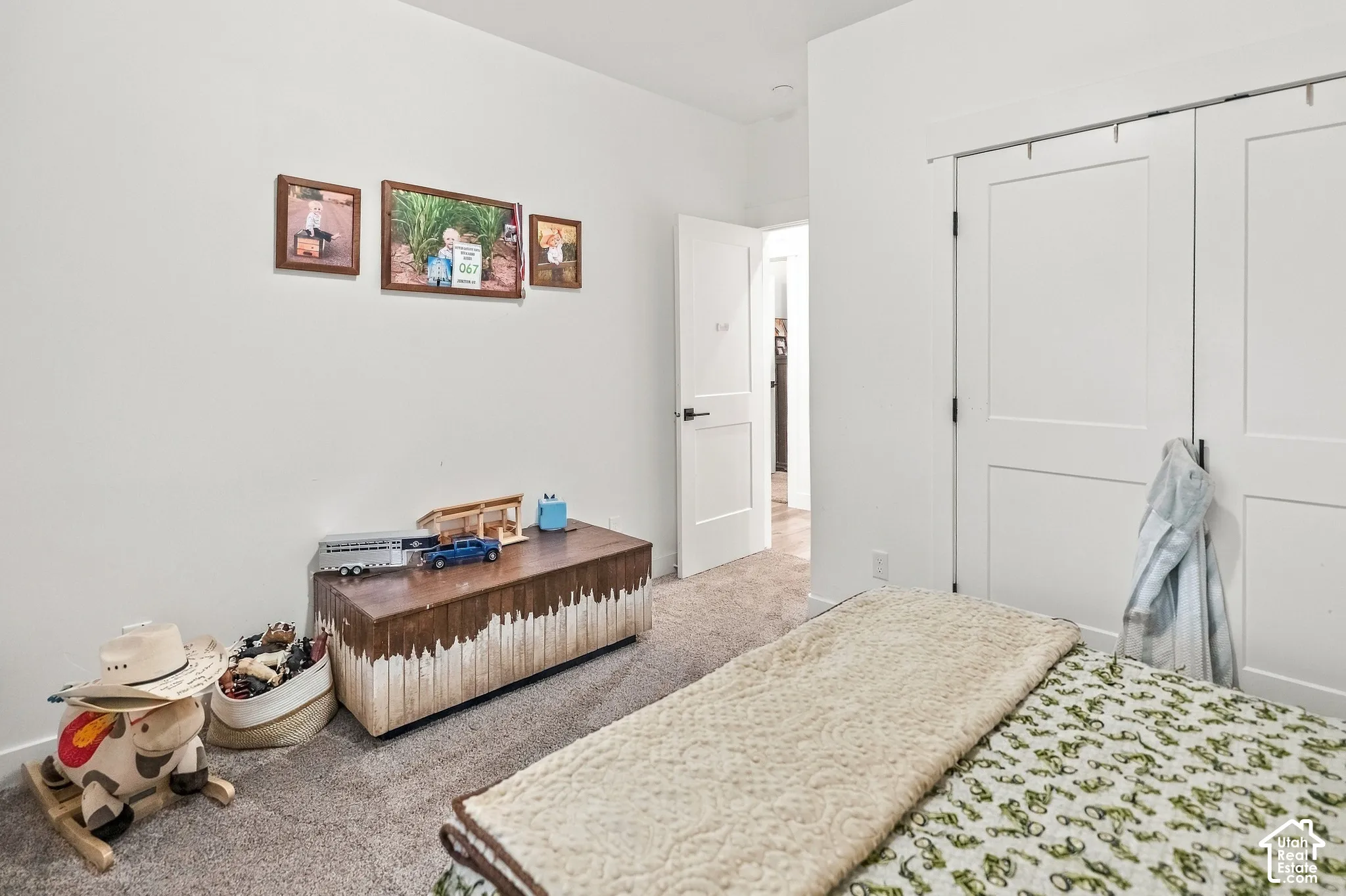 White paneled doors with dark hardware, light gray carpeting, and white walls