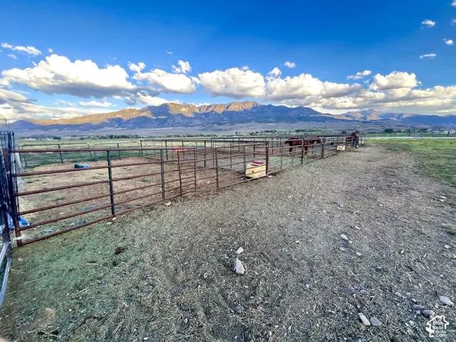Mountain range backdrop with open land