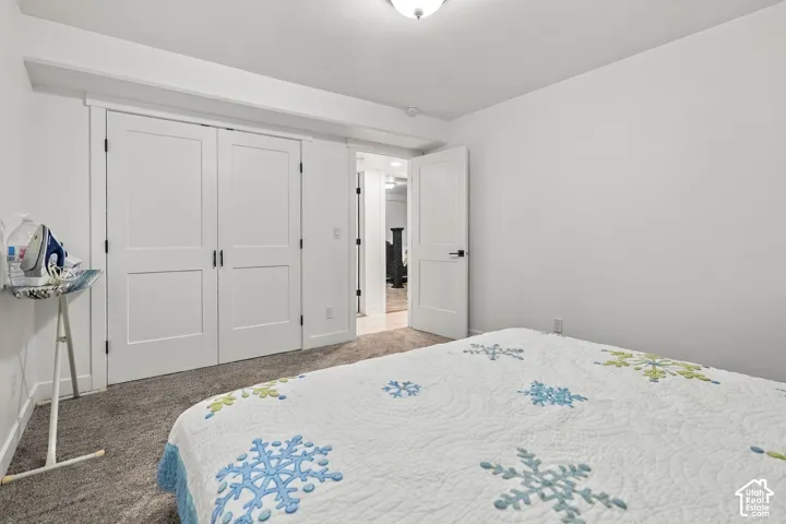 Neutral wall color, wall-to-wall carpeting, white interior doors, matte black door hardware, ceiling-mounted light fixture