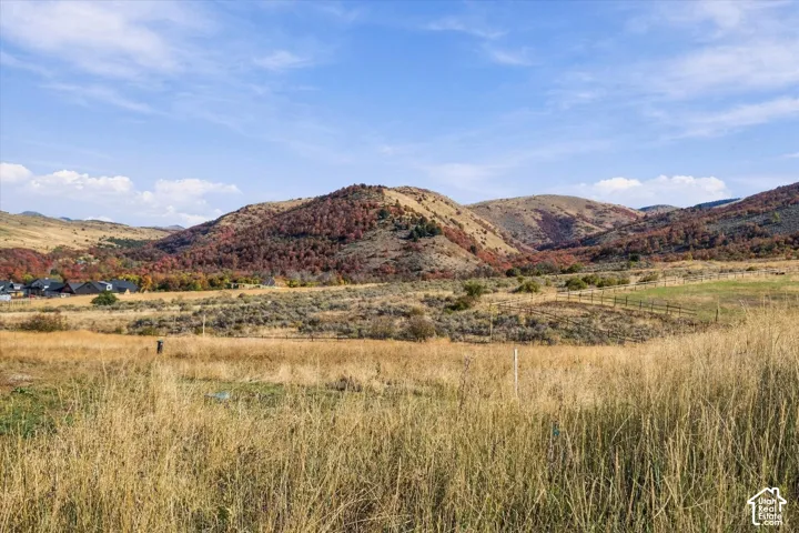 Expansive natural landscape featuring rolling hills and distant residential structures
