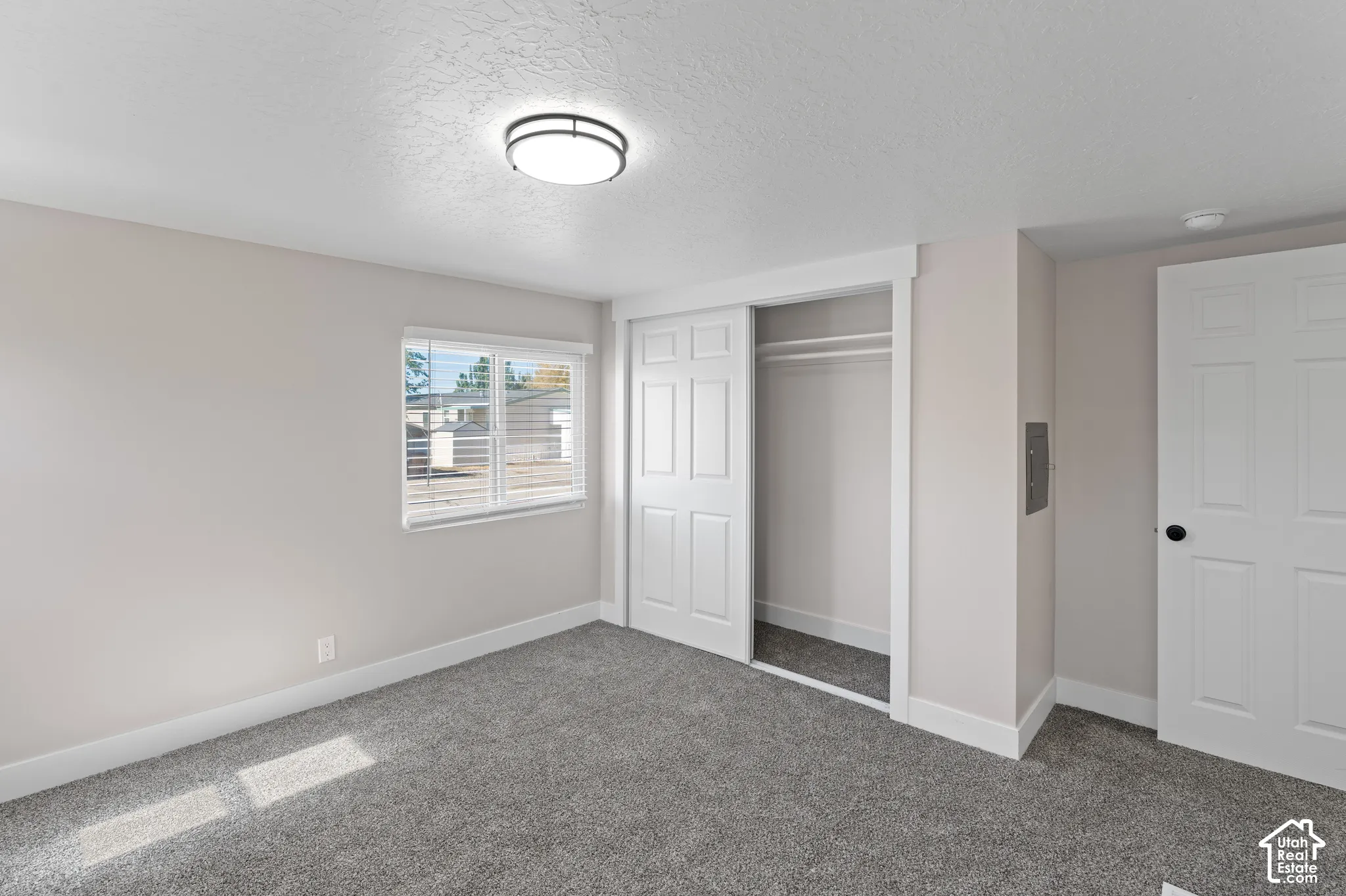Carpeted room featuring a window with blinds, a ceiling-mounted light fixture, a closet with sliding doors, and a paneled interior door