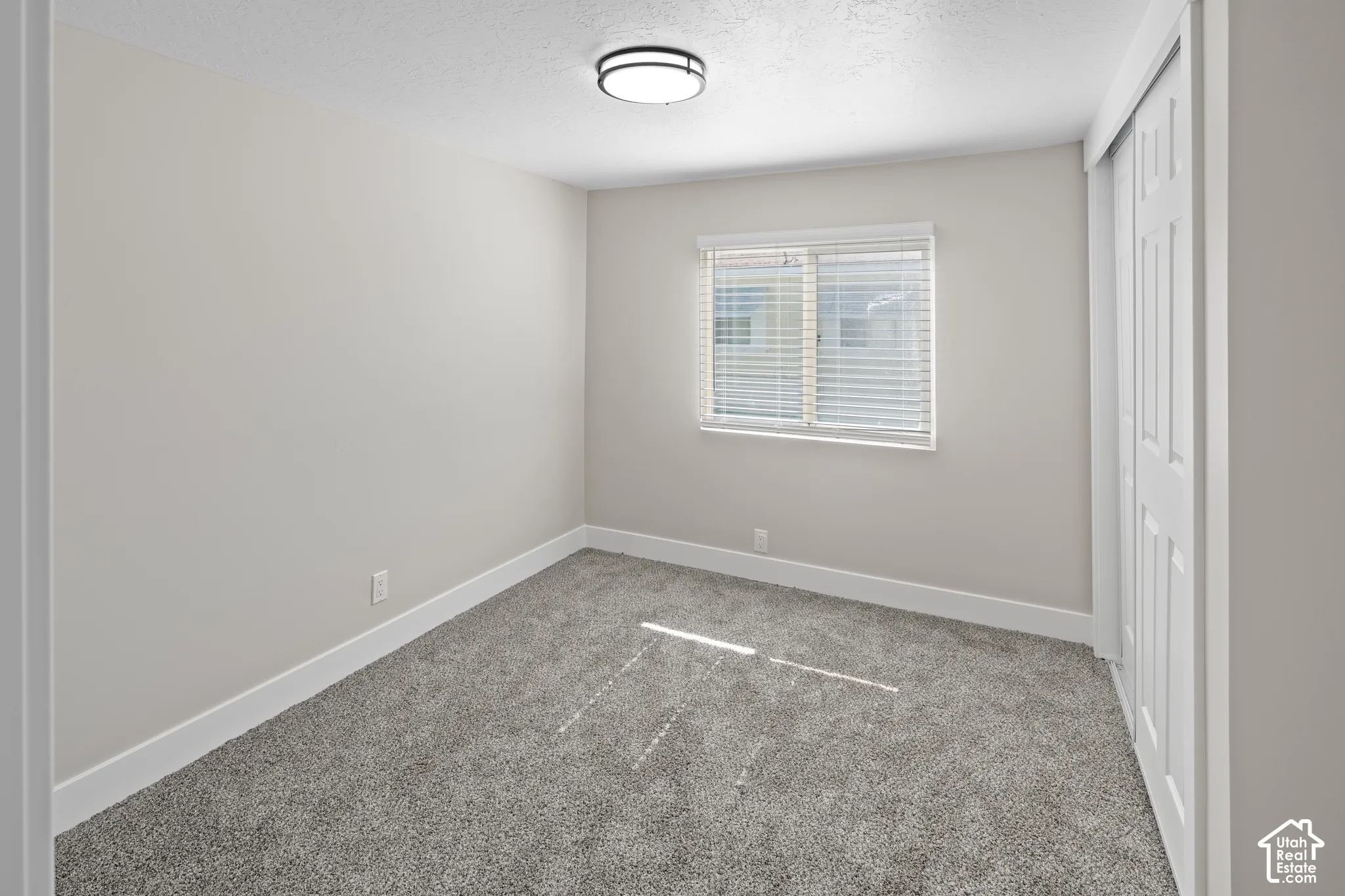 Neutral wall finishes