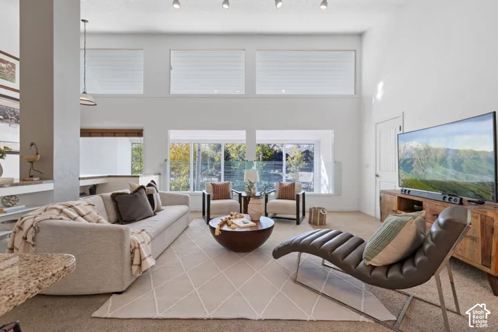 Vaulted ceiling with track lighting, multiple windows with blinds, built-in shelving, and carpeted flooring