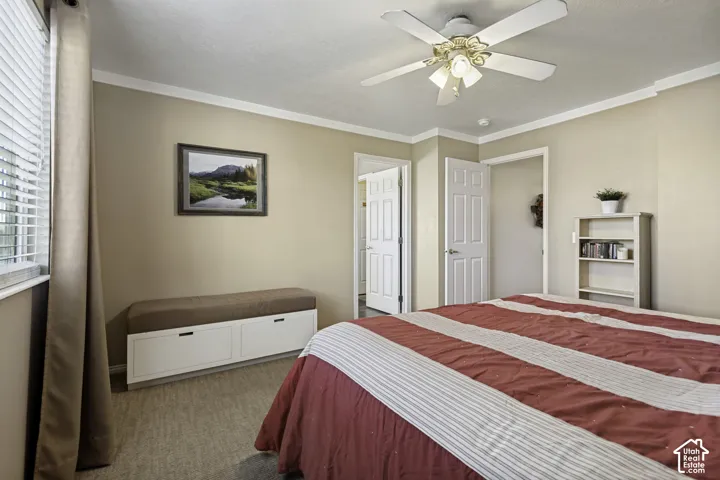Primary Suite