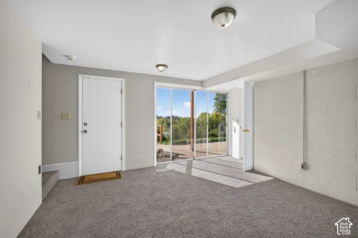 Flex space in basement