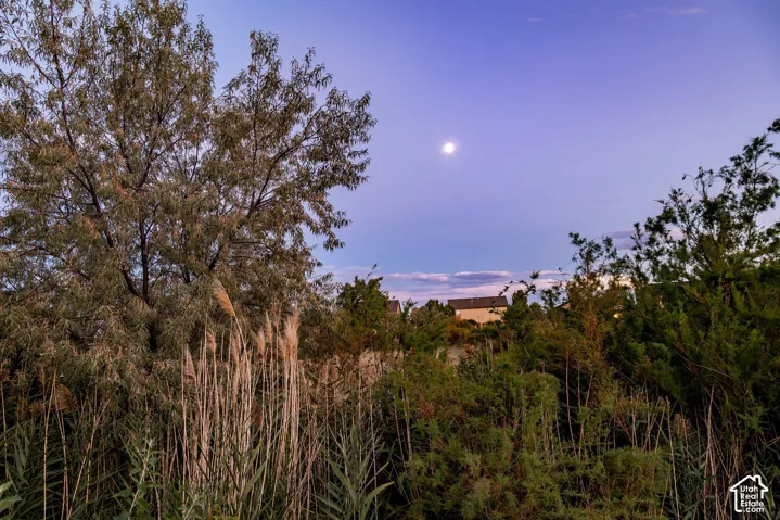 419 S Olive Way, Lehi, Utah 84043