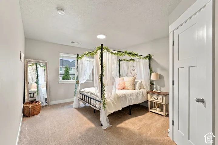 Light-colored walls with textured carpeting, a white interior door with contemporary hardware, and a window providing natural illumination