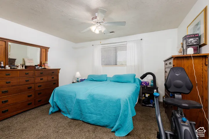 Carpeted room featuring a ceiling fan with integrated lighting, a window with blinds, and white walls