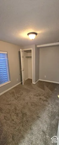 Wall-to-wall carpeting, window with blinds, ceiling-mounted light fixture, and a built-in closet with shelving