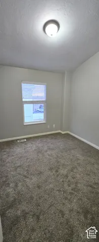 Plush carpeting, neutral wall colors, window with blinds, and a ceiling-mounted light fixture