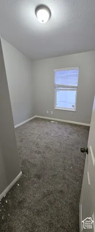 Gray wall paint, neutral carpeting, window with blinds, and ceiling-mounted light fixture