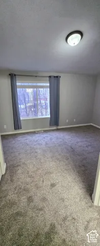 Wall-to-wall carpeting and a ceiling-mounted light fixture