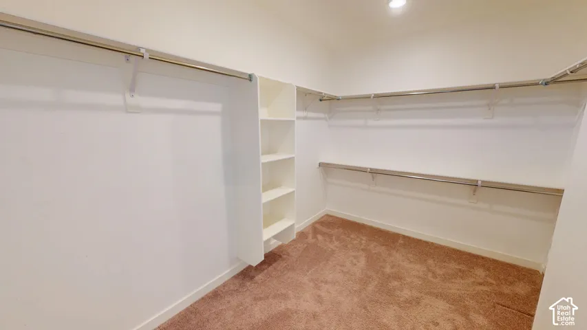 Walk-in closet featuring white walls, carpeted flooring, built-in shelving, and multiple clothing rods