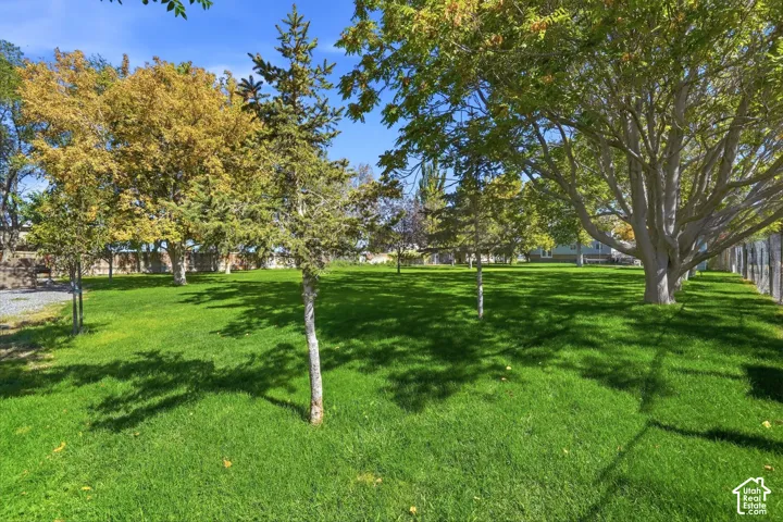 Expansive green lawn with mature trees and a partial fence line