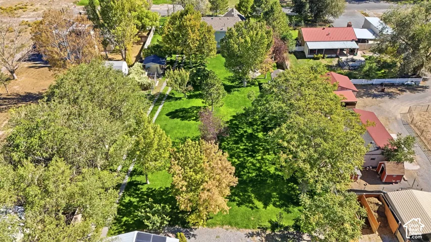Expansive property featuring a verdant lawn, mature trees, and a detached structure with a red roof